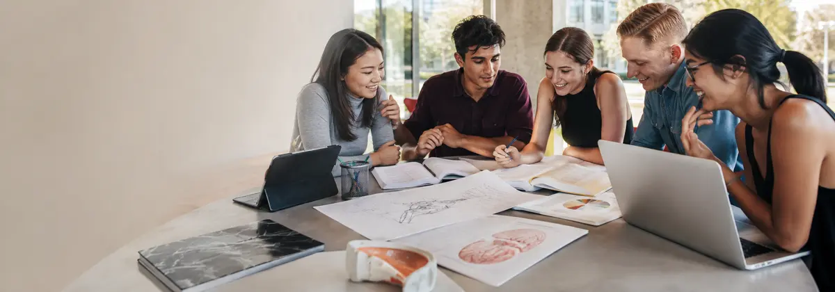 How to Write a Sociology Essay With Theory, Evidence and Critical Comparison