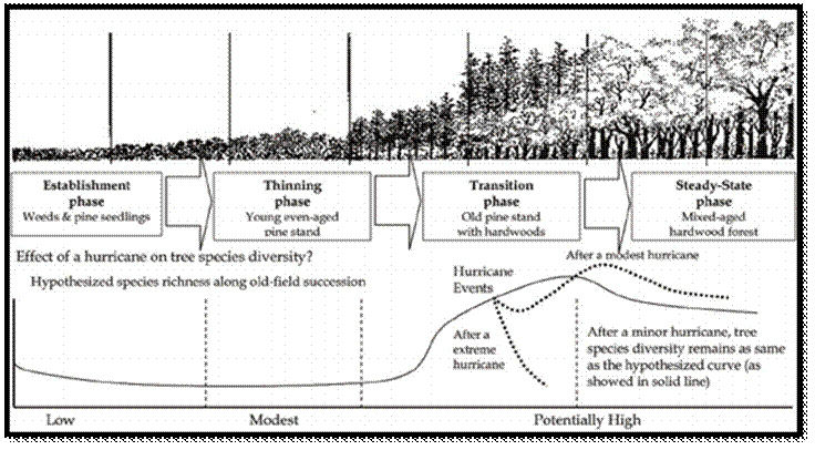 Related image